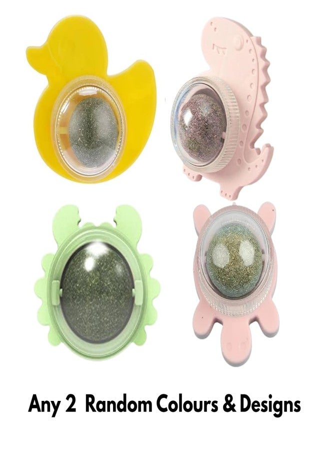 PET FUN Catnip Wall Mounted Cat Toys - Rotating Edible Mint & Silvervine Balls for Dental Care, Teeth Cleaning, Licking & Chewing | Natural Healthy Chew Toy for Kittens & Adult Cats - Image 2